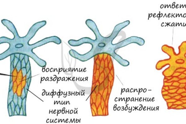 Kraken что это за магазин