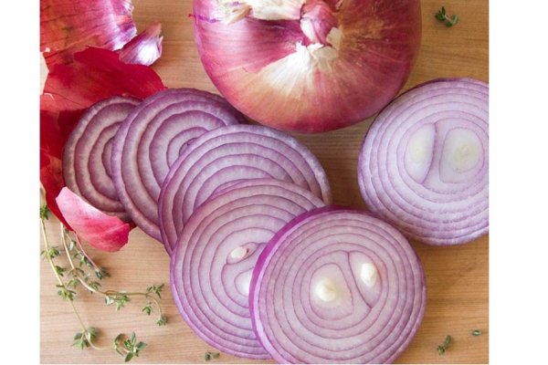 Krakenruzxpnew4af onion tor